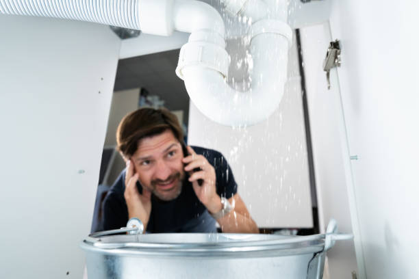 Best Water Leak Repair  in Williamsburg, PA